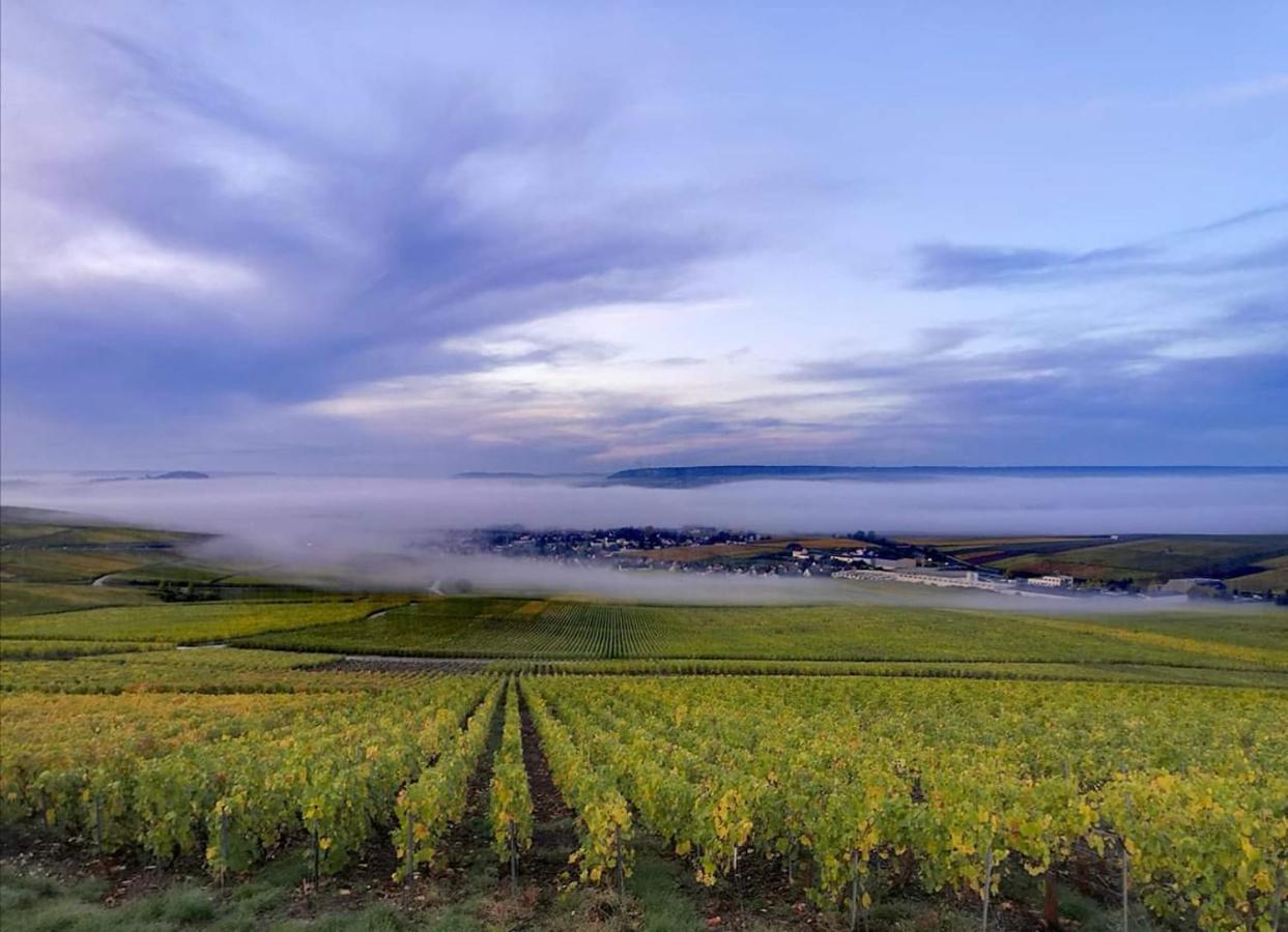Le Cocon Appartement Proche Epernay Et Maisons De Champagne Ay-Champagne Zewnętrze zdjęcie
