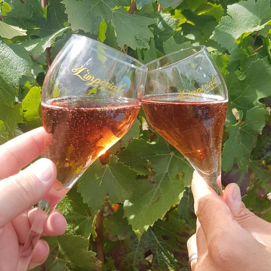 Le Cocon Appartement Proche Epernay Et Maisons De Champagne Ay-Champagne Zewnętrze zdjęcie
